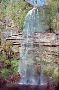 Late Namurian-early Westphalian strata at Henrhyd Falls, north crop of the South Wales Coalfield